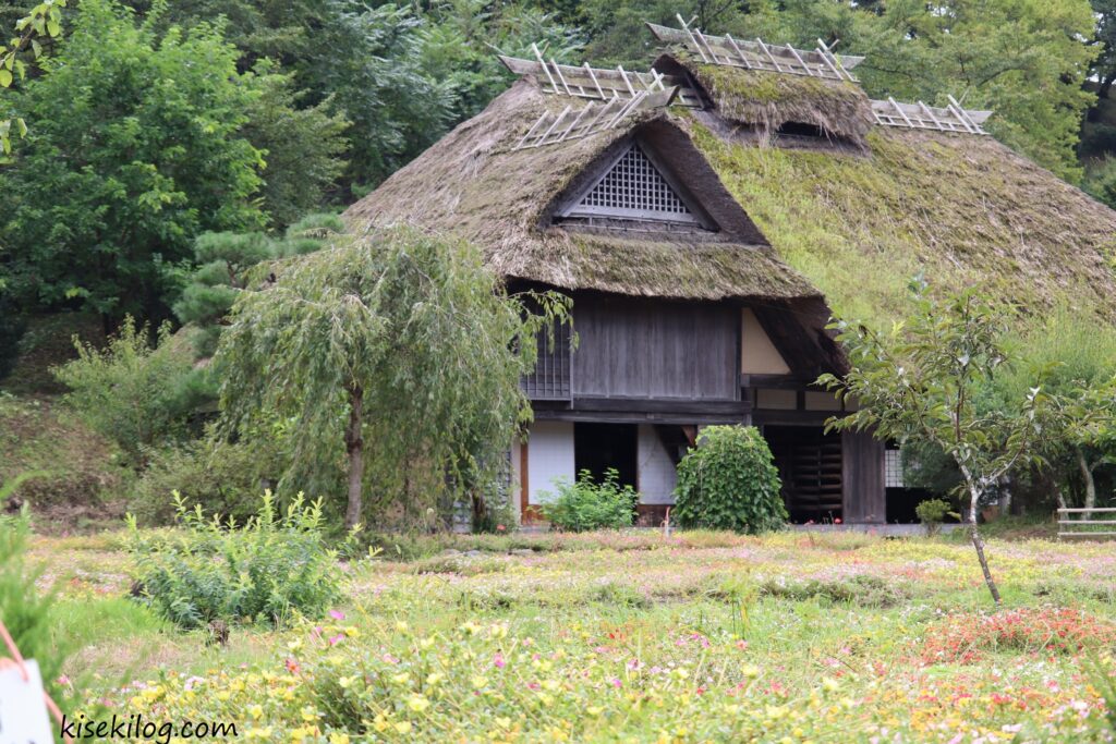 茅葺屋根　ポーチュラカ　安達ケ原ふるさと村